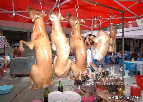 china-dog-meat-sell01.jpg