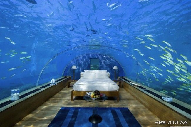 Underwater-Bedroom-1-650x432.jpg