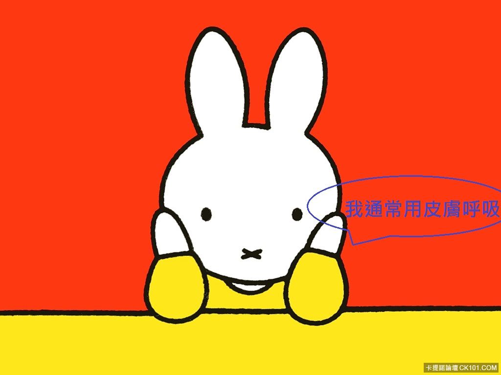 miffy.jpg