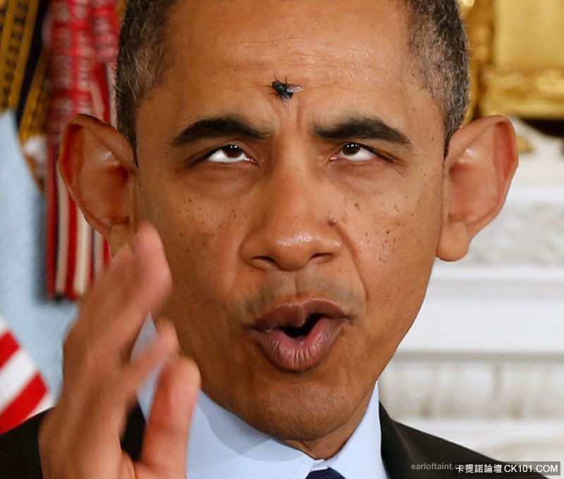 obama-fly.jpg