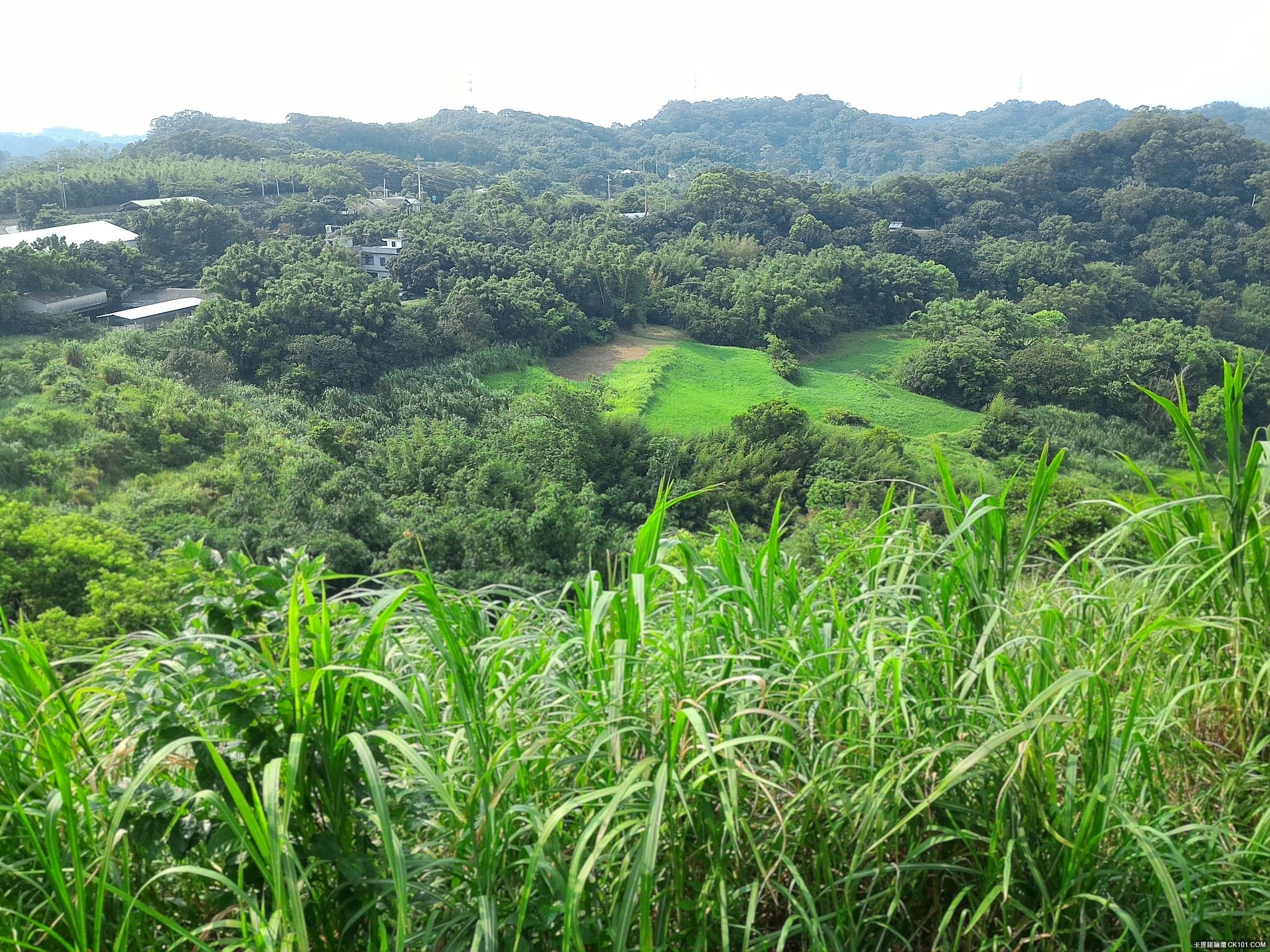 苗栗市新英社區旅遊景點-小瑞士區域-觀景平台-大草坪