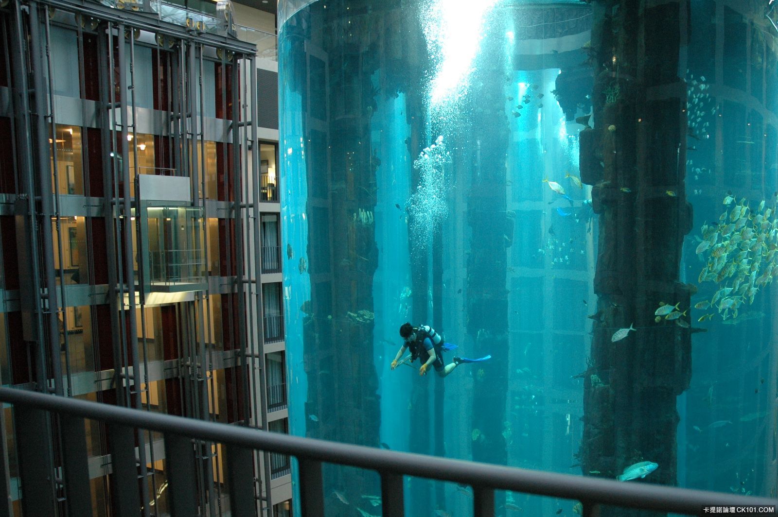 aquadom-radisson-blu-hotel-berlin-germany.jpg