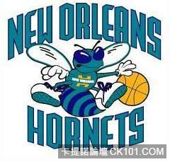 hornets.jpeg