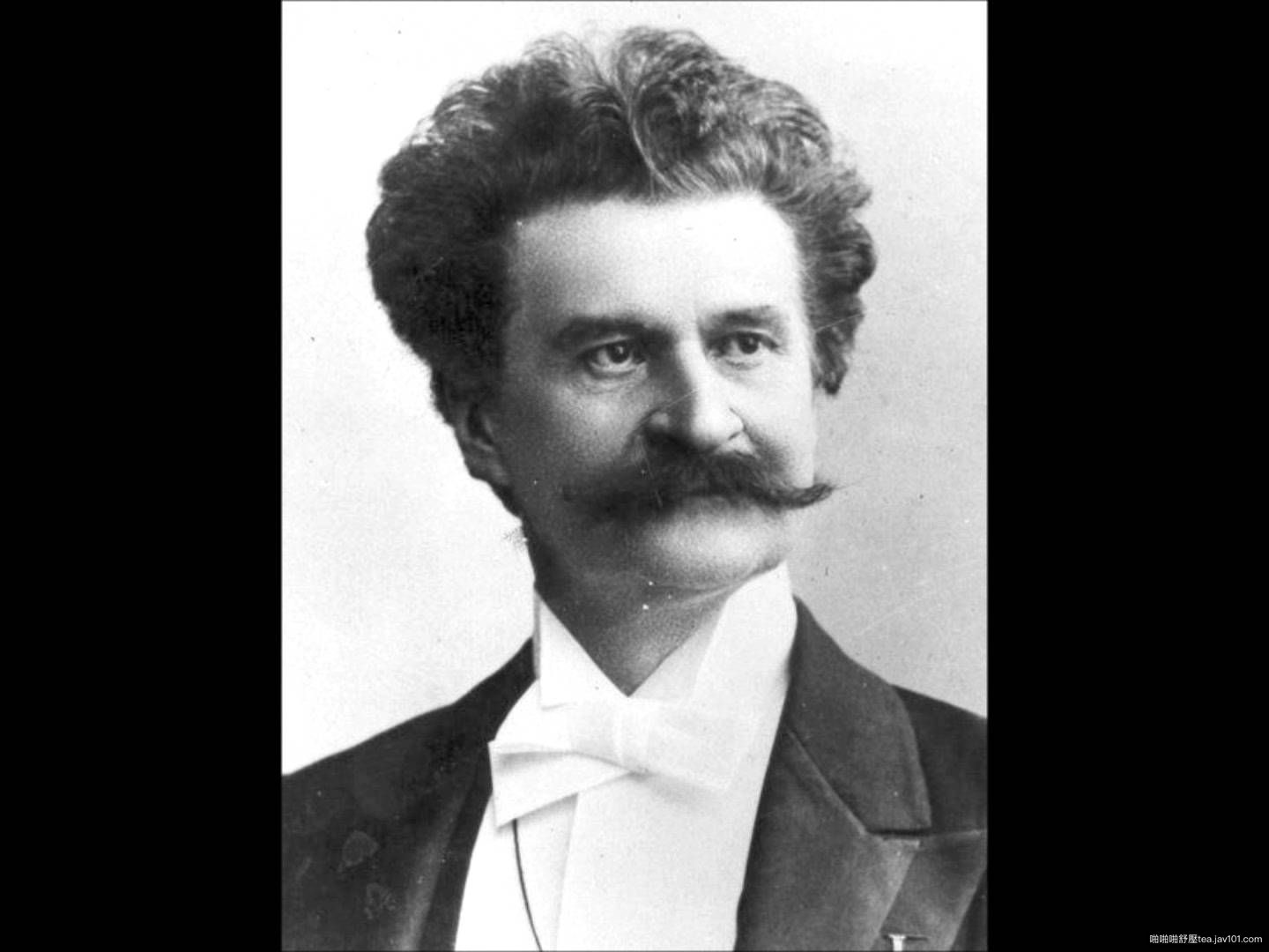 46 Johann Strauss II.jpg