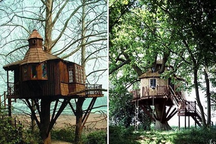 Tree-Houses3.jpg