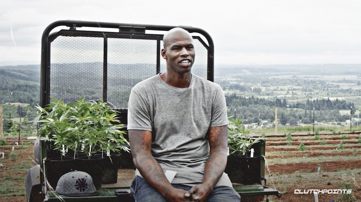 Al_Harrington_pushing_the_league_to_embrace_marijuana.jpg