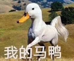 我的馬鴨.jpg