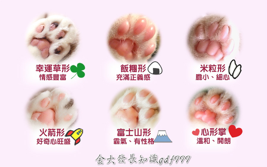 cat_paw_blog_02_meitu_1.jpg