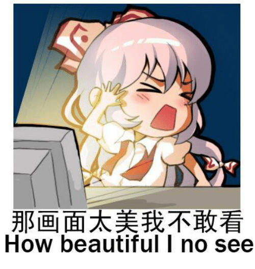 那畫面太美我不敢看.png