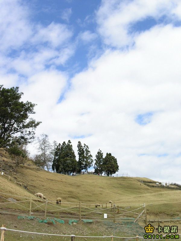 青青草原藍天綠地