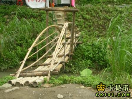 很特別的竹子橋