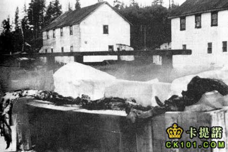 當時拍攝的怪物屍體，為了觀看方便拍攝者在怪物身後掛了一張白布