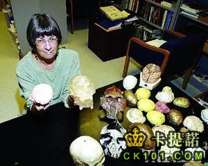 科學家研究印尼“弗洛勒斯人”頭骨化石
