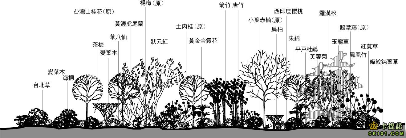 植栽-Model.jpg