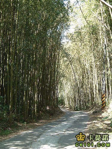  (沿路風景)