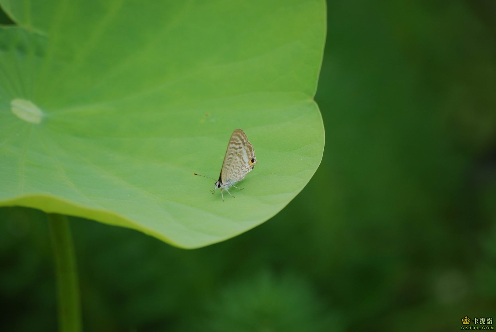 調整大小 DSC_0968.JPG