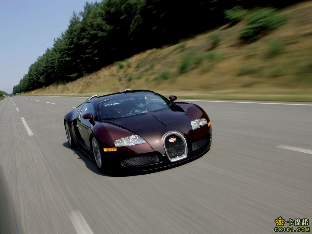 veyron06_04.jpg