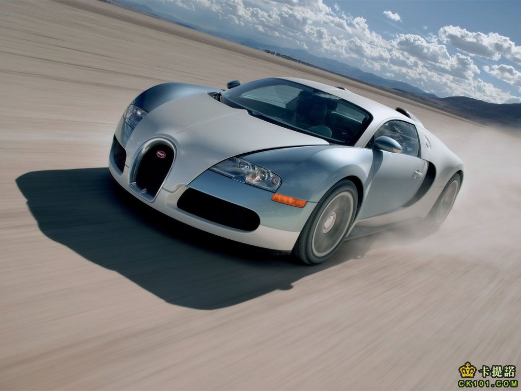 veyron06_01.jpg