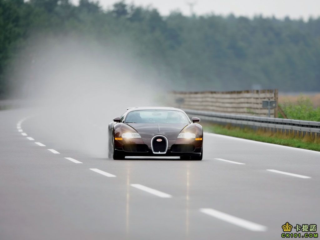 veyron06_05.jpg