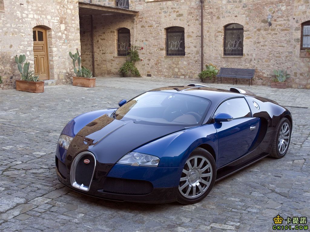 veyron06_06.jpg