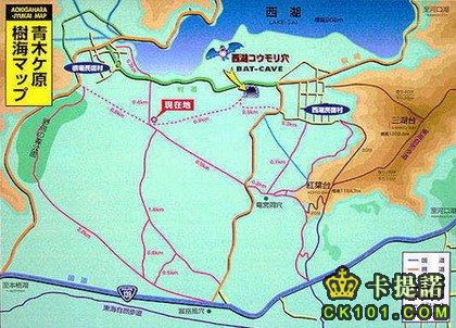 青木原林海地圖.jpg
