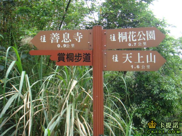 路標2  我往桐花公園走