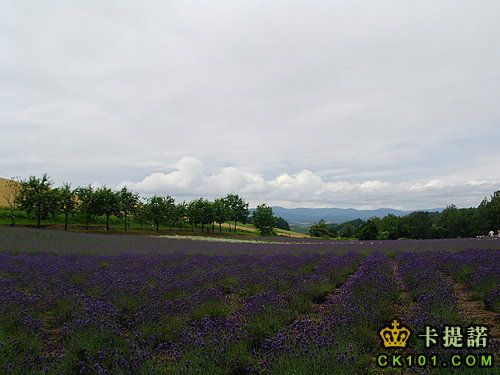 紀念館外