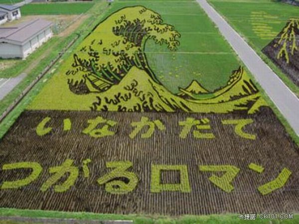 ricefieldart13[1].jpg