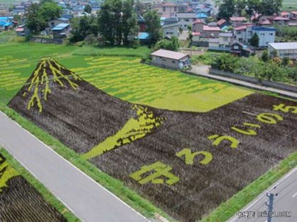 ricefieldart08[1].jpg