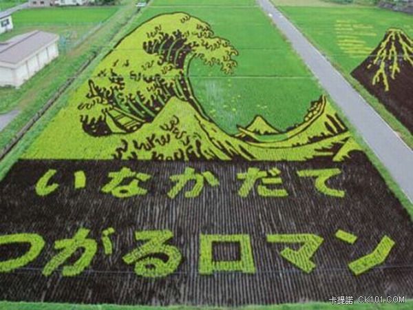 ricefieldart14[1].jpg