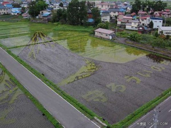 ricefieldart05[1].jpg