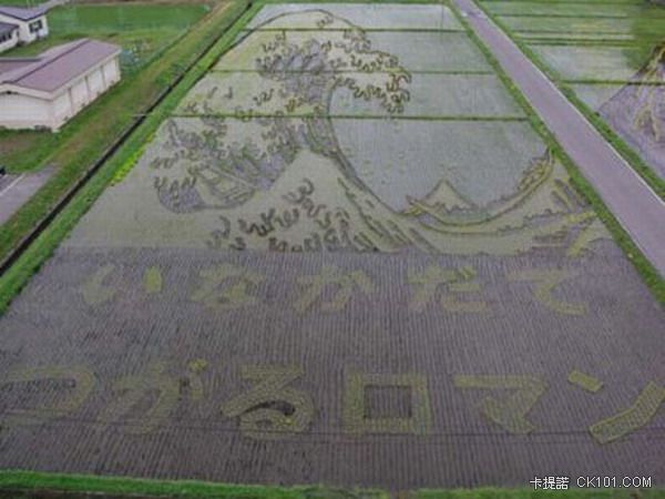 ricefieldart04[1].jpg