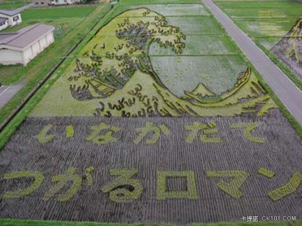 ricefieldart06[1].jpg