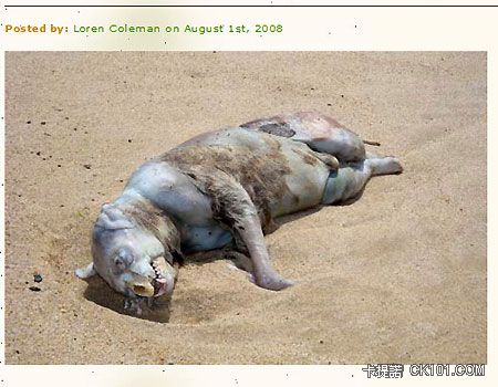 0_22_montauk_monster_grab2.jpg