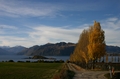 nwanaka6357a.jpg