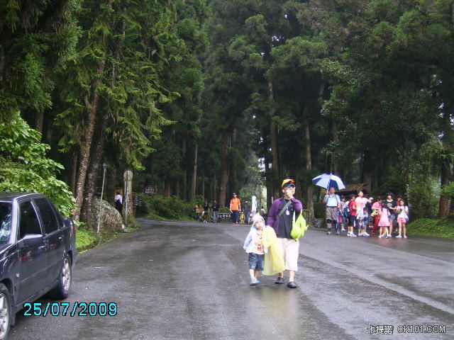 雨後的溪頭