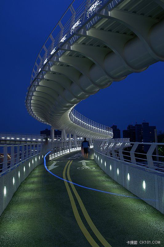 蓮池潭單車景觀橋