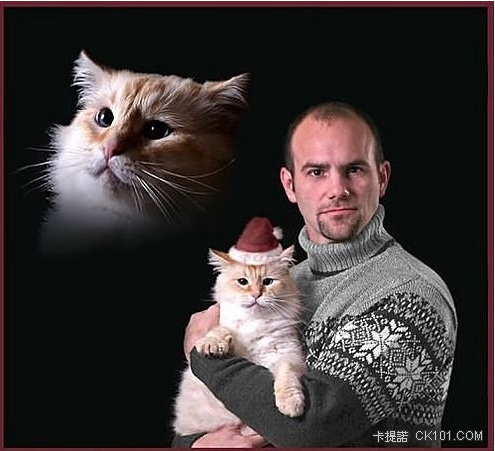 Cat Christmas.PNG