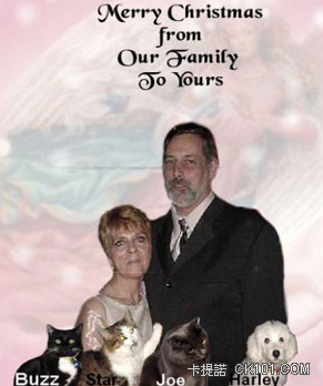 Cat Family.PNG