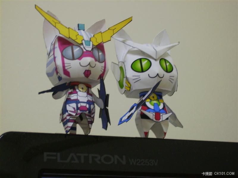 EXIA_CAT_16.JPG