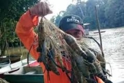 六千米巨網捕獲巨蝦，你絕對沒見過的「大蝦王」