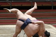 日本相撲春季系列賽