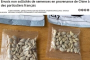 法國也出現中國不明種子包裹 呼籲不要拆開直接扔掉