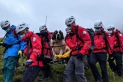 55公斤聖伯納犬受困英格蘭最高峰　16救難隊員花5小時扛下山