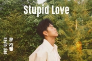 Kevin 廖柏雅《Stupid Love》