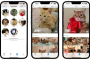 iOS 17照片可識別寵物：可分辨出兩隻不同的橘貓