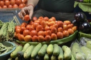印度陷「番茄危機」價格比汽油貴，蔬菜商一夜暴富