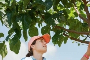 水果探險家：尋找水果古樹，拯救瀕絕種稀有水果