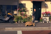 把巨龜當親兒養！日本阿公每週帶上街都引起轟動