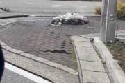 日本強震瞬間「地板變海浪」！人行道詭異浮動畫面曝